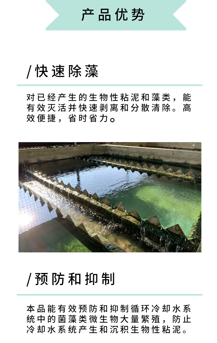 长_04.jpg