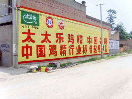 墙体广告 (74).JPG